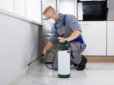 About Emerald Hills Roach Control - roach control experts in Emerald Hills