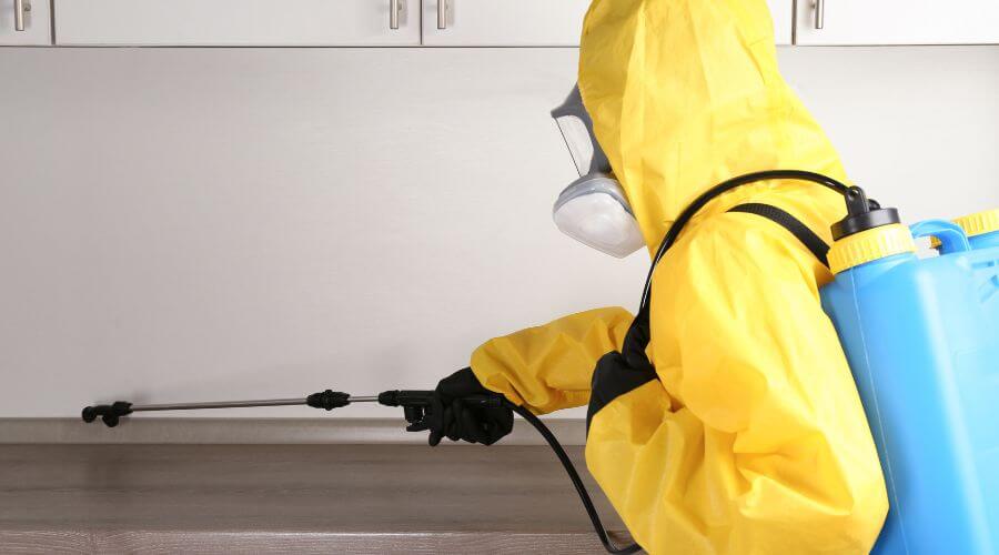 Professional roach control services in Emerald Hills - Emerald Hills Roach Control